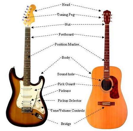 Parts of the guitar