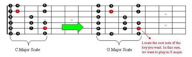 Guitar Major Scale Transpose