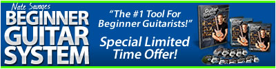 beginner guitar system sale