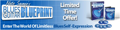 blues guitar promo discount